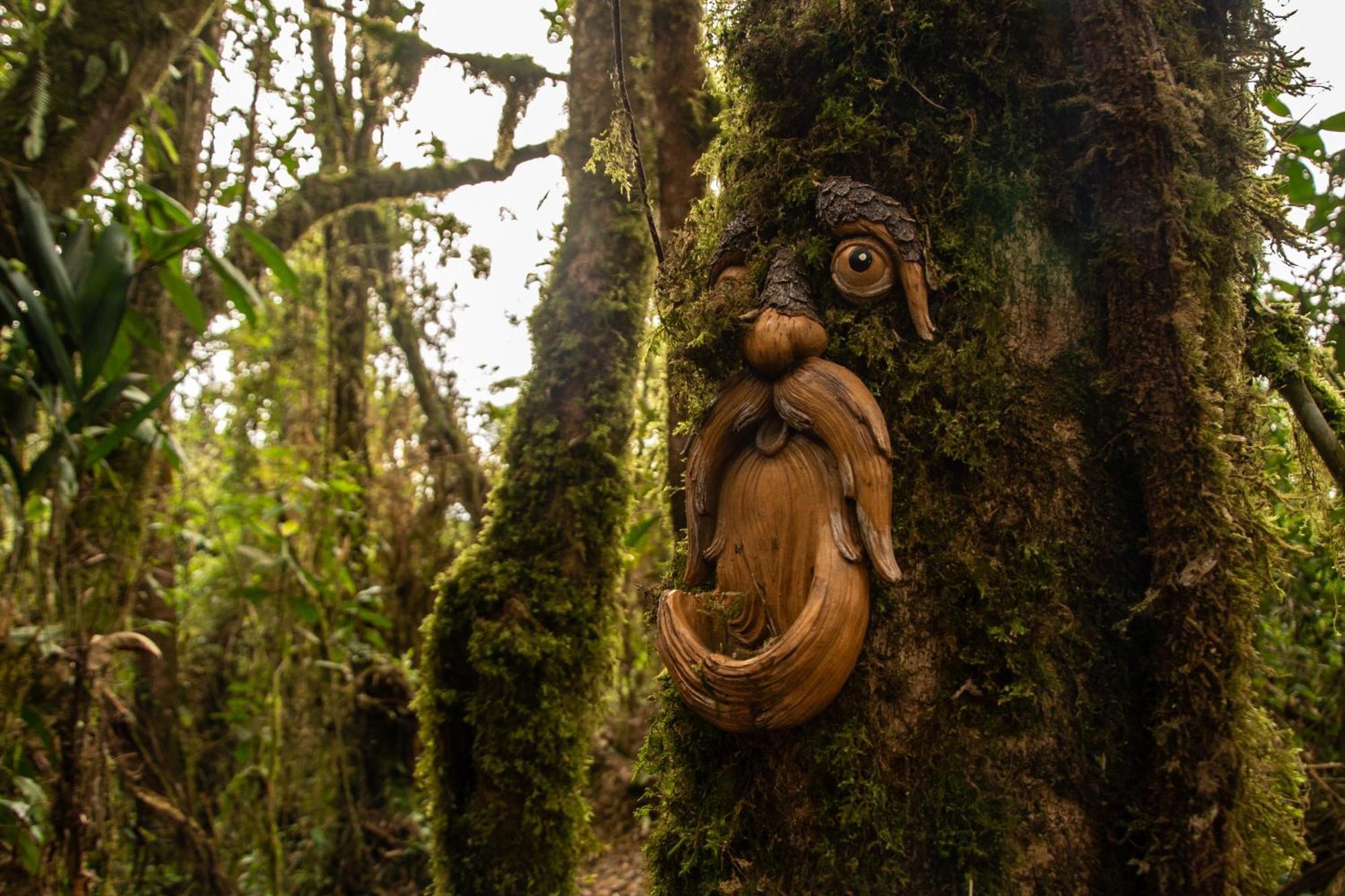 Owl'S Watch At Rio Blanco Villa Manizales Exteriör bild